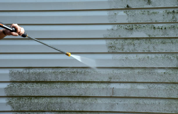 Best House Pressure Washing  in Ames, TX